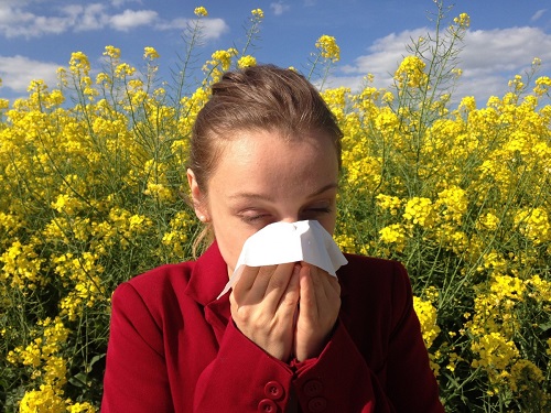 Rhinite allergique