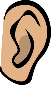 AcouphÃ¨nes