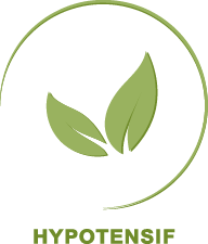 Hypotensif