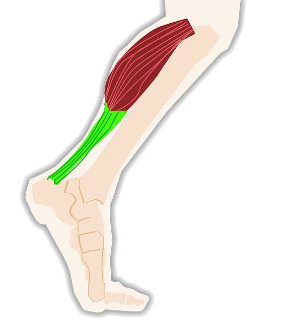 Tendinopathie (tendinite)