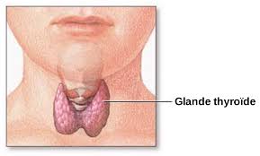 HypothyroÃ¯die