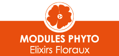 Famille de formation famille_phyto_elixirs-floraux