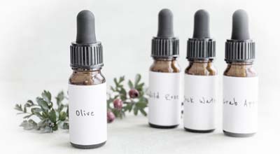 Elixirs floraux Niveau 1